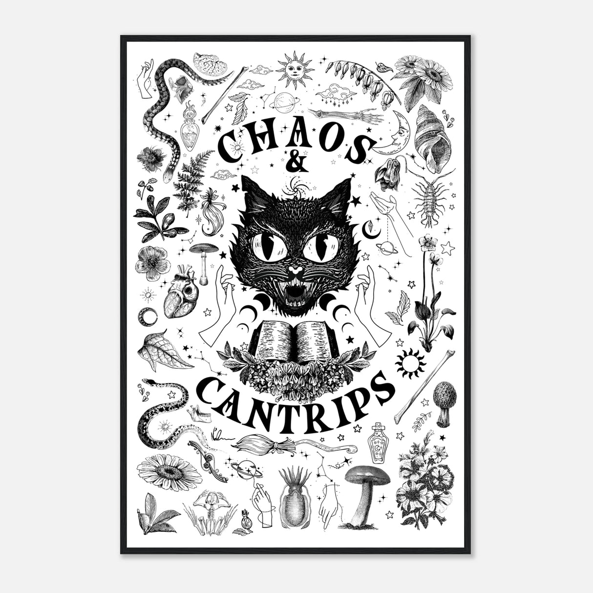 2552e068-a99a-42ff-b12d-cd371b39e67d