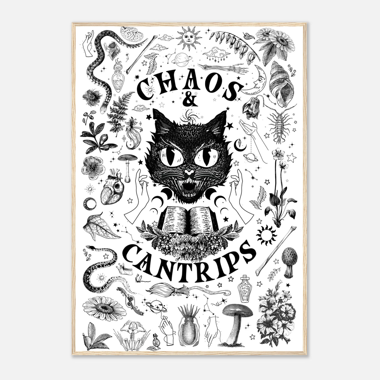 b7d8d081-5f8e-4b18-9550-b2efa71e20e2